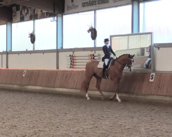 Reitturnier Südlohn-Oeding 2017