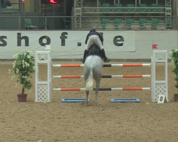 Reitturnier Kreuth 2017