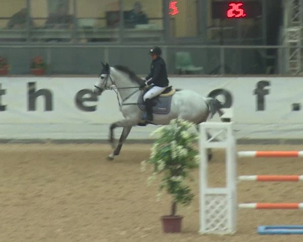 Reitturnier Kreuth 2017