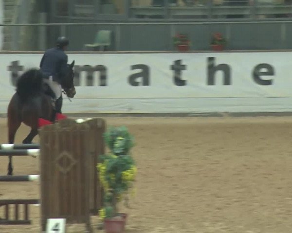 Reitturnier Kreuth 2017