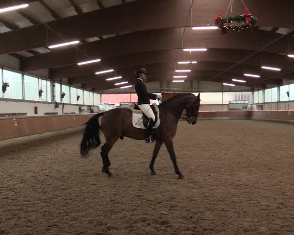 Reitturnier Südlohn-Oeding 2017