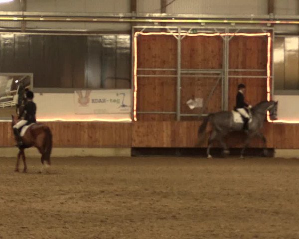 Reitturnier Südlohn-Oeding 2017