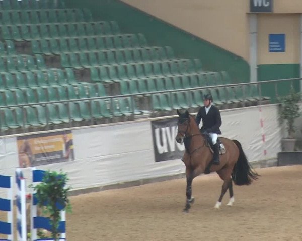 Reitturnier Kreuth 2017