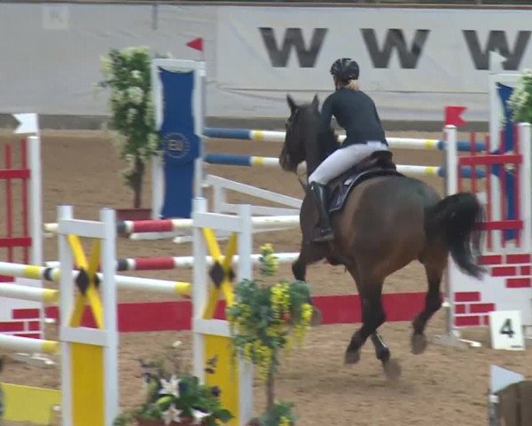 Reitturnier Kreuth 2017