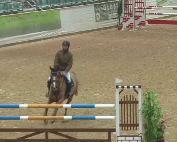 Reitturnier Kreuth 2017