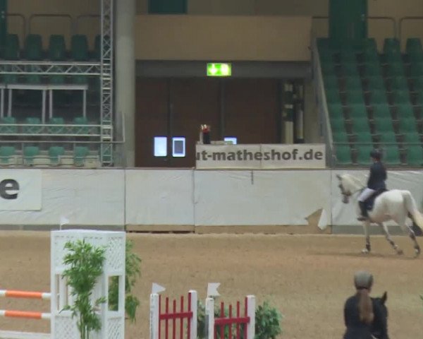 Reitturnier Kreuth 2017