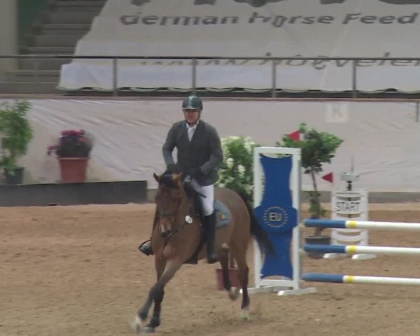 Reitturnier Kreuth 2017