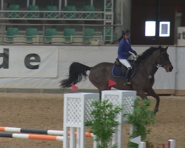 Reitturnier Kreuth 2017
