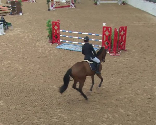 Reitturnier Kreuth 2017