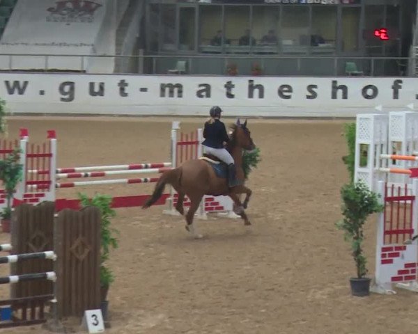 Reitturnier Kreuth 2017
