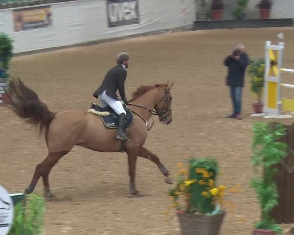 Reitturnier Kreuth 2017