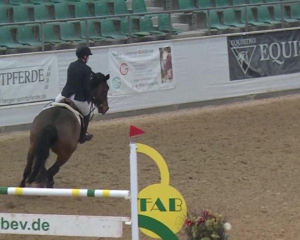 Reitturnier Kreuth 2017