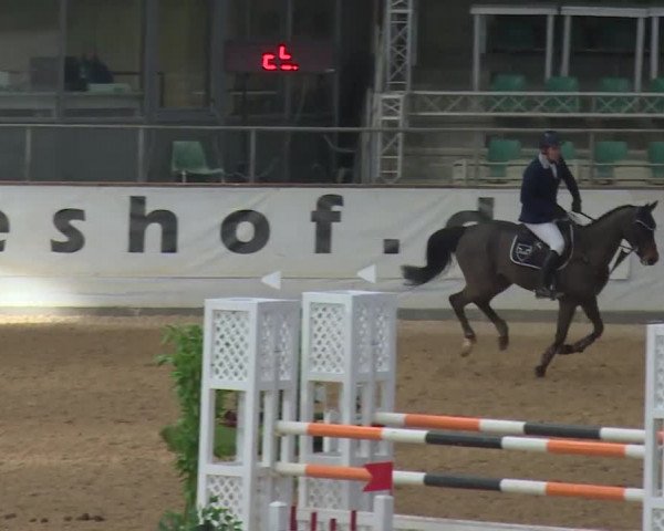 Reitturnier Kreuth 2017