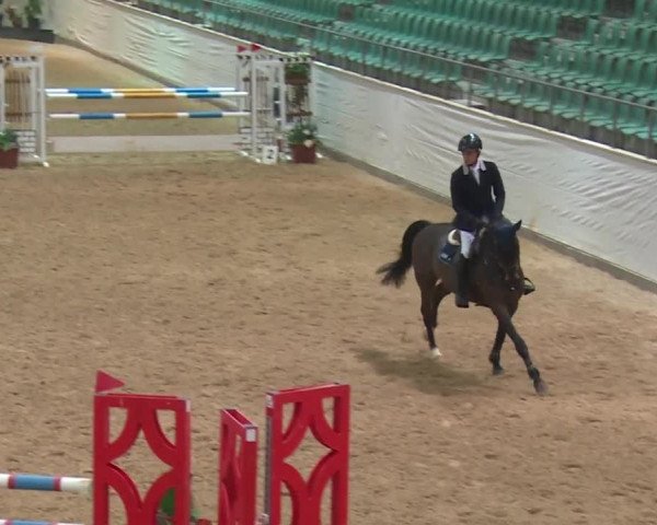Reitturnier Kreuth 2017