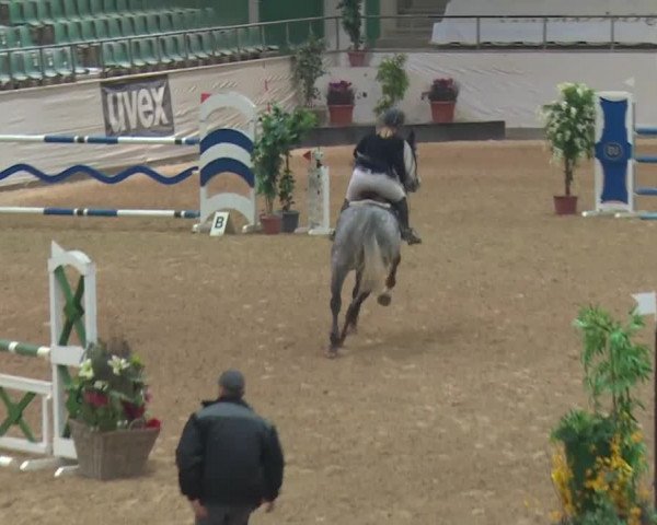 Reitturnier Kreuth 2017