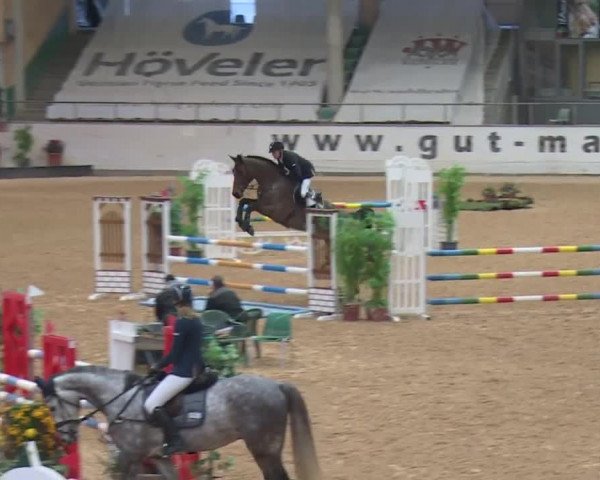 Reitturnier Kreuth 2017