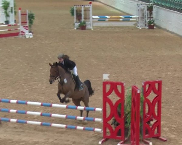 Reitturnier Kreuth 2017