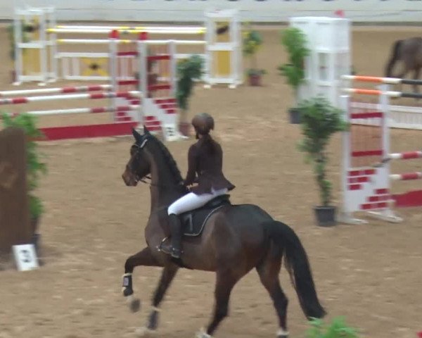 Reitturnier Kreuth 2017