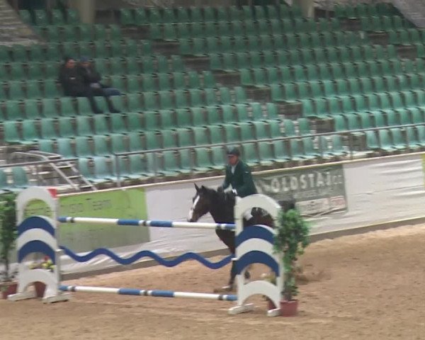 Reitturnier Kreuth 2017