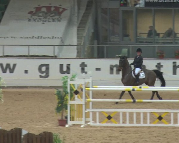 Reitturnier Kreuth 2017