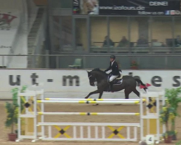 Reitturnier Kreuth 2017