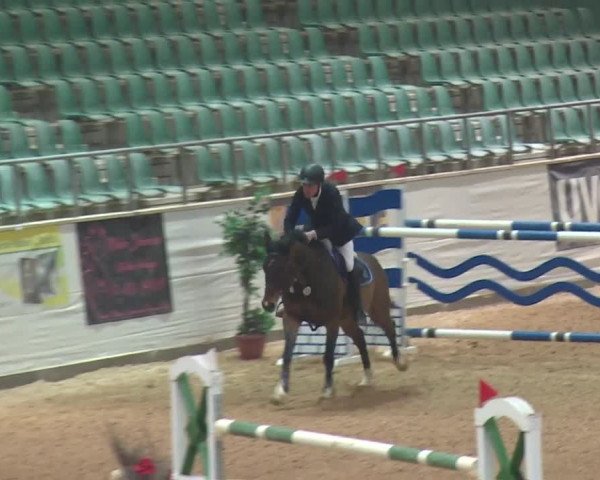 Reitturnier Kreuth 2017