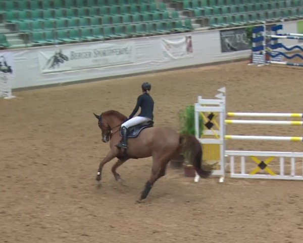 Reitturnier Kreuth 2017