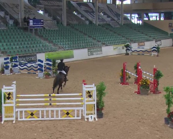 Reitturnier Kreuth 2017
