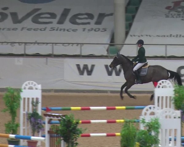 Reitturnier Kreuth 2017