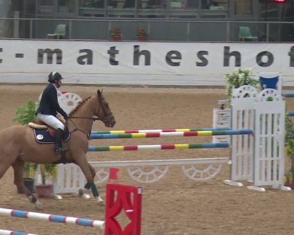 Reitturnier Kreuth 2017