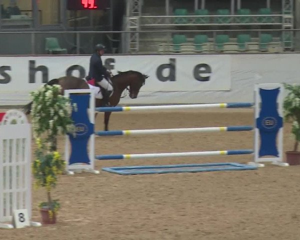 Reitturnier Kreuth 2017