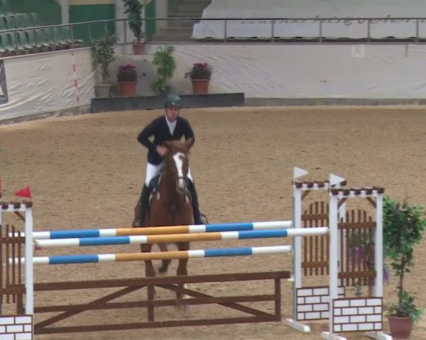 Reitturnier Kreuth 2017