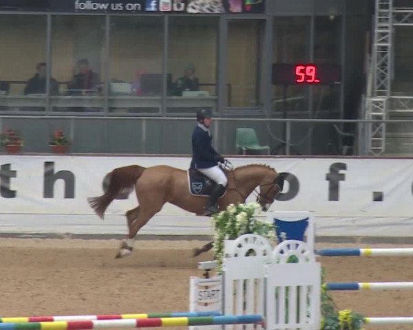 Reitturnier Kreuth 2017
