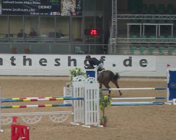Reitturnier Kreuth 2017
