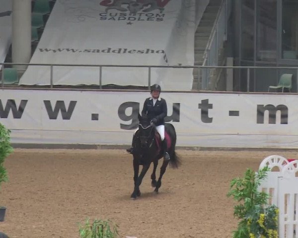 Reitturnier Kreuth 2017