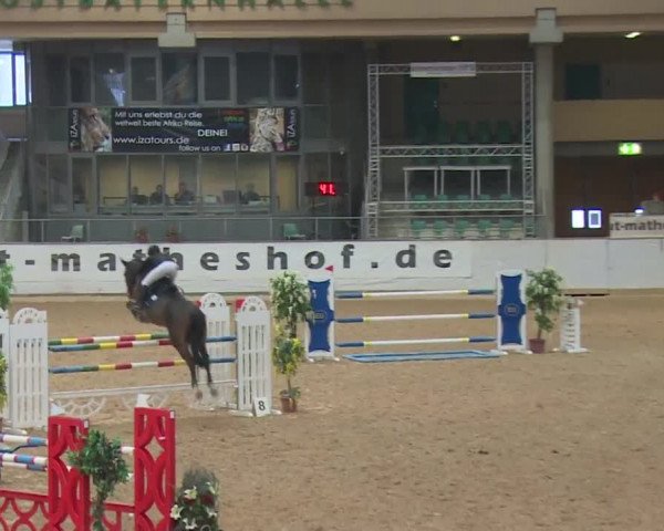 Reitturnier Kreuth 2017