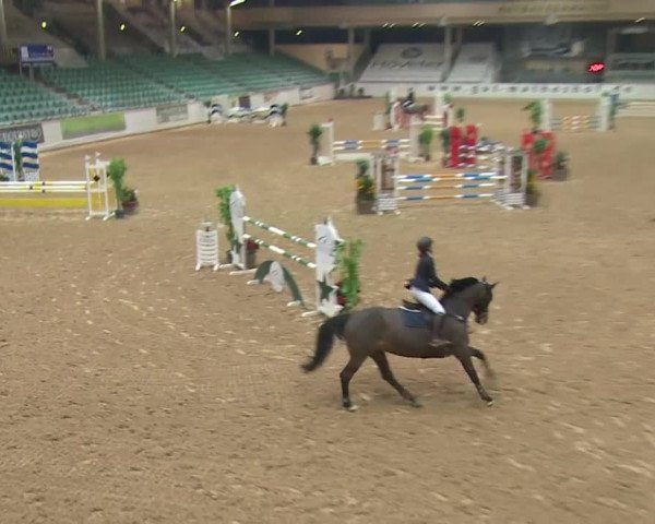 Reitturnier Kreuth 2017