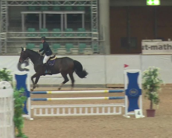 Reitturnier Kreuth 2017