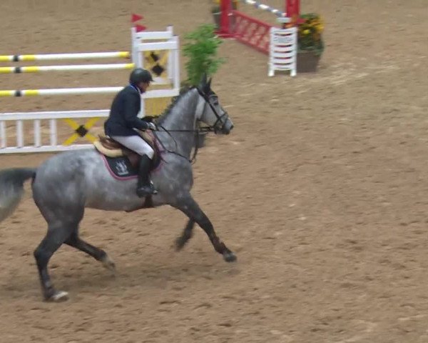Reitturnier Kreuth 2017