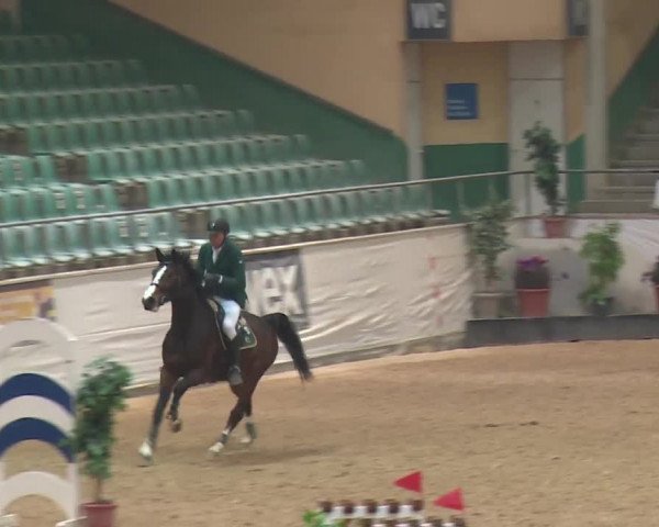 Reitturnier Kreuth 2017