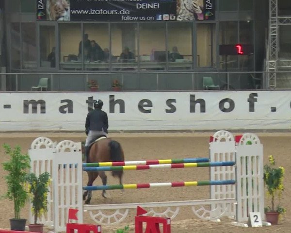 Reitturnier Kreuth 2017