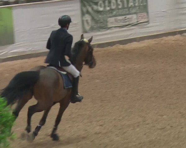 Reitturnier Kreuth 2017