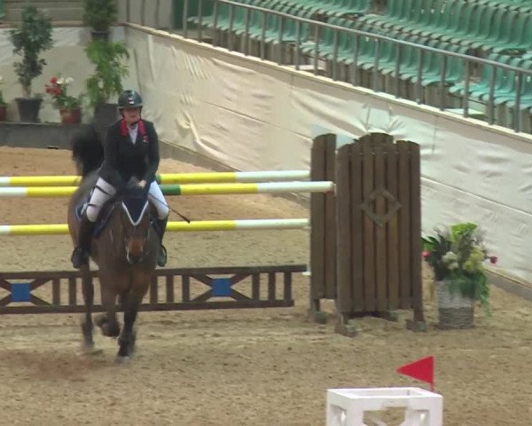 Reitturnier Kreuth 2017