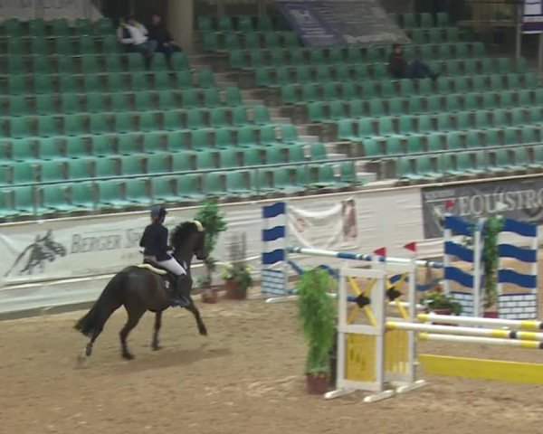 Reitturnier Kreuth 2017