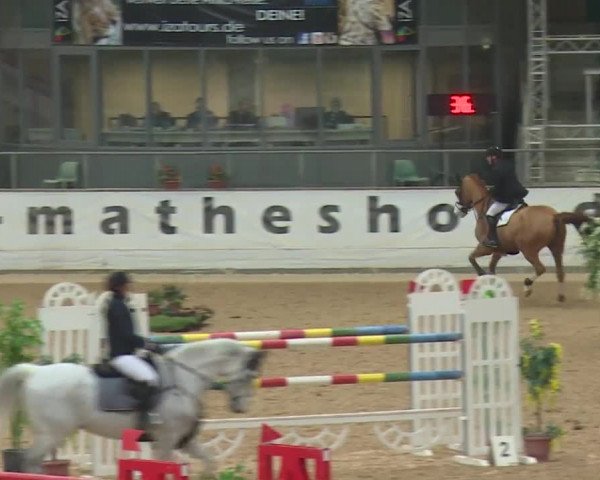 Reitturnier Kreuth 2017