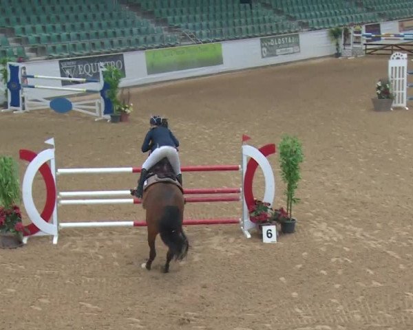 Reitturnier Kreuth 2017