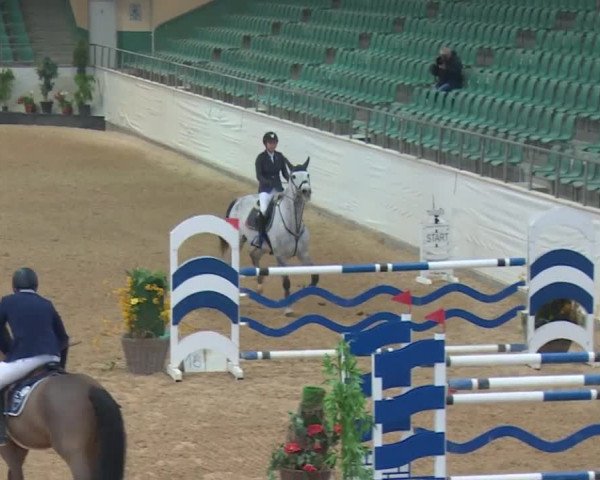Reitturnier Kreuth 2017
