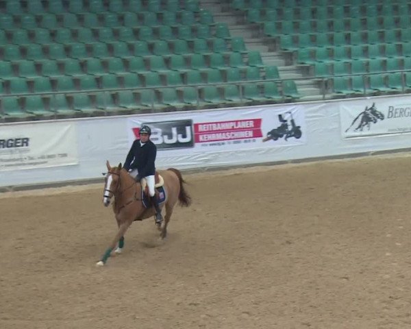 Reitturnier Kreuth 2017