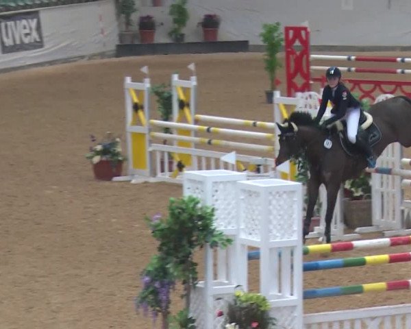 Reitturnier Kreuth 2017