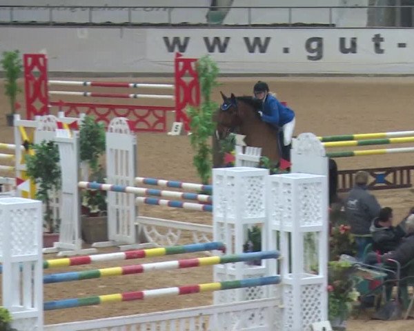 Reitturnier Kreuth 2017